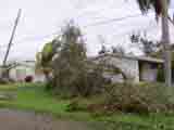 hurricane shot